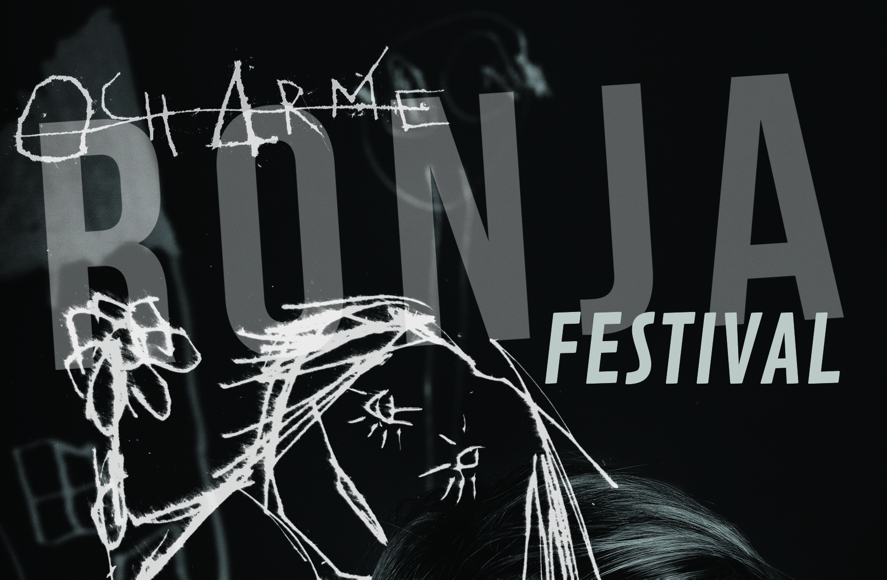 Lees meer over het artikel RONJA’s festival in Den Bosch